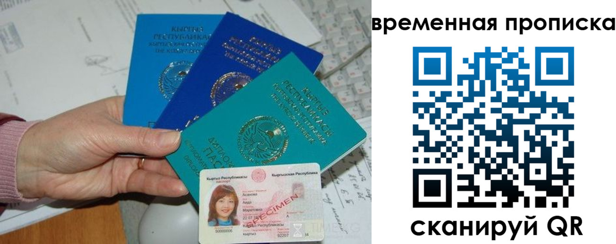 прописка для школы в Тамбове